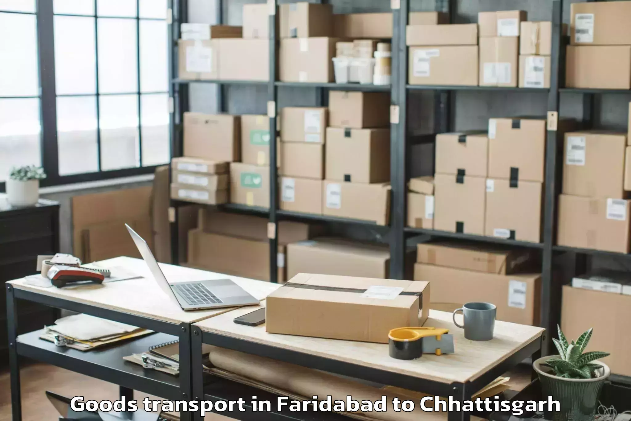 Comprehensive Faridabad to Bhilai Goods Transport